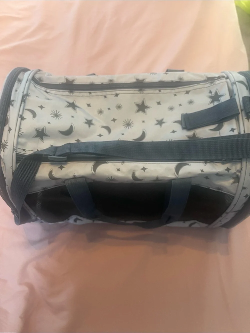 Cat carrier